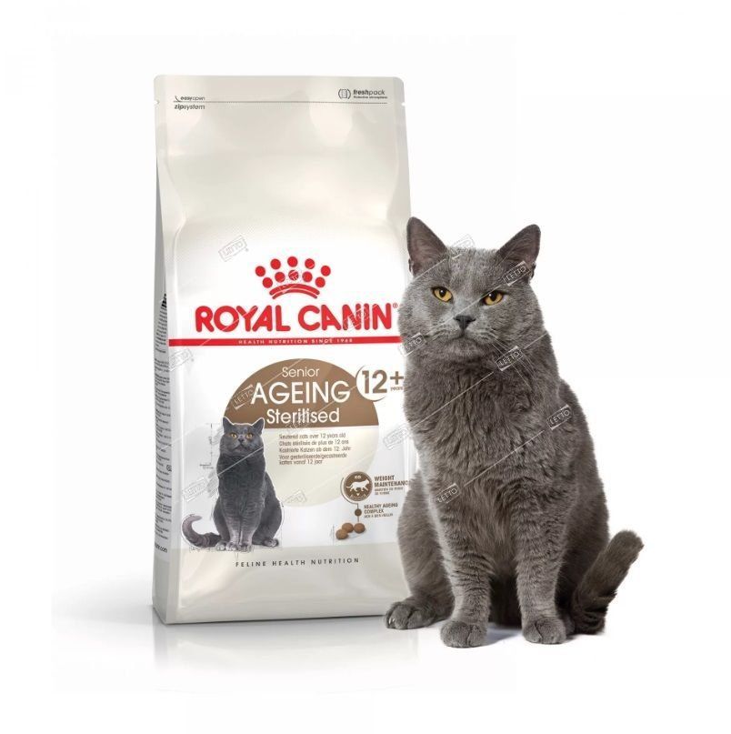 Royal canin ageing для кошек. Ageing Sterilised 12+ Роял Канин. Роял Канин Стерилайзд 12+ 4кг. Роял Канин для пожилых кошек 12+. Роял Канин эйджинг +12 для кошек.