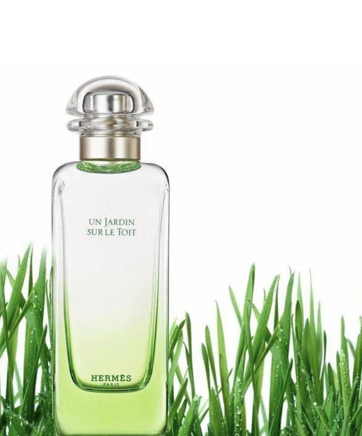 Hermes un Jardin sur le toit Lady Test 100ml EDT