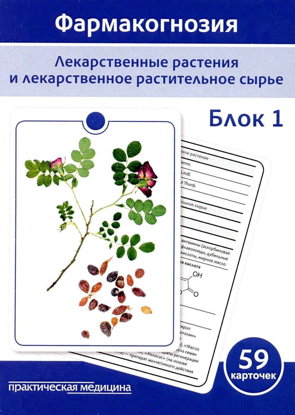 Лекарственные растения карточки. Семена это Фармакогнозия. Атлас лекарственных растений и сырья: учебное пособие. Фармакогнозия диуретики ЛРС.