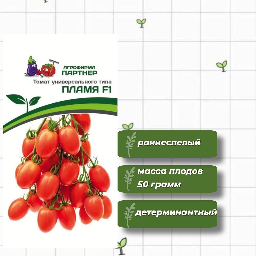 Томат малиновое пламя характеристика и отзывы. Агрофирма партнер томаты пламя. Томат пламя Евросемена. Томат пламя партнер фото. Томат малиновое пламя f1 отзывы фото урожайность характеристика и.