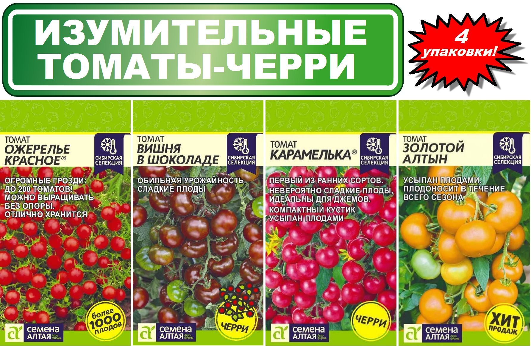 Томат монеточка семена. Помидоры сибирские черри. Семена томат монеточка семена алтая. Семена алтая томаты черри. Помидоры сибирские черри.