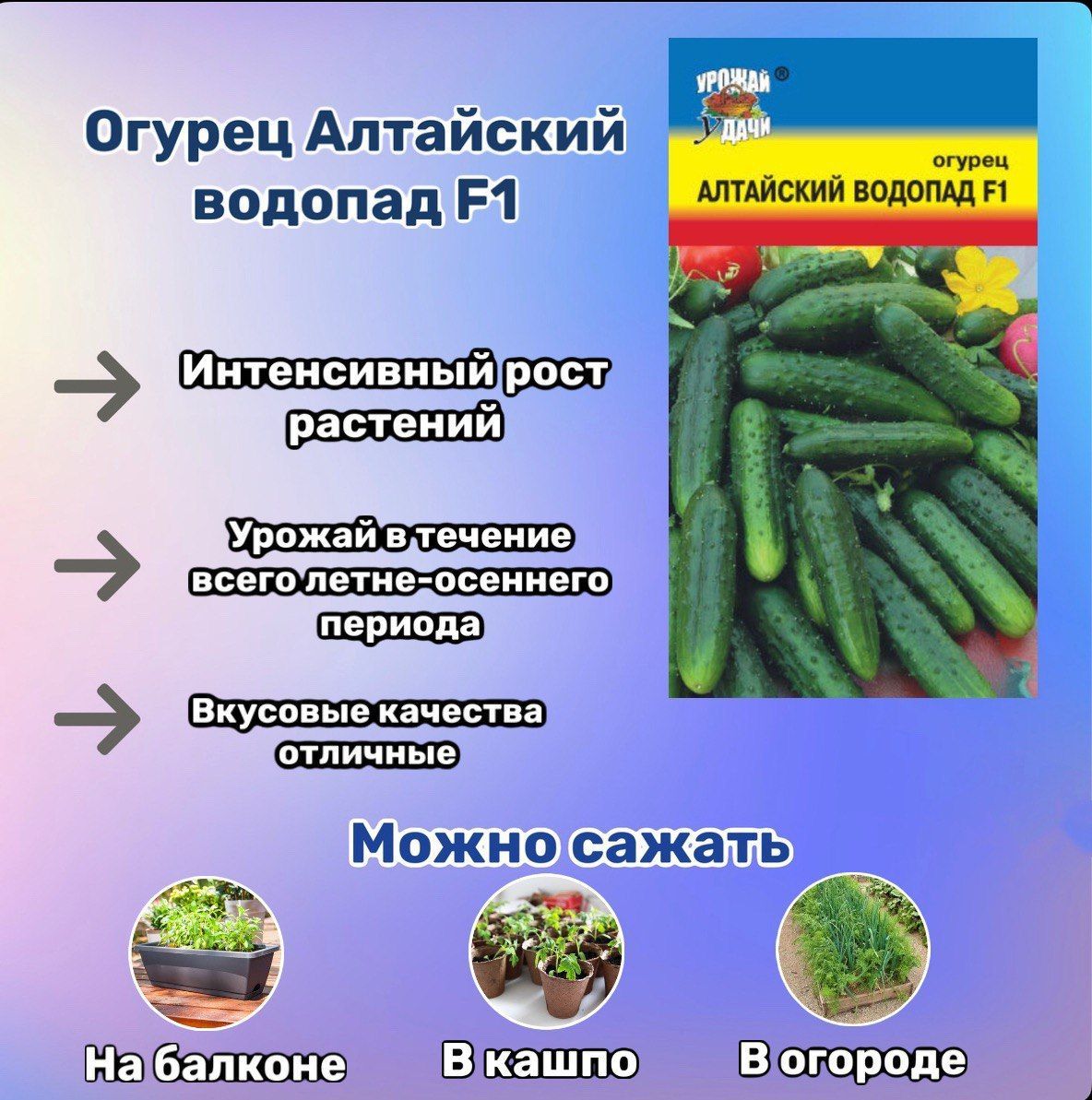 Купить Семена Огурцов Конни