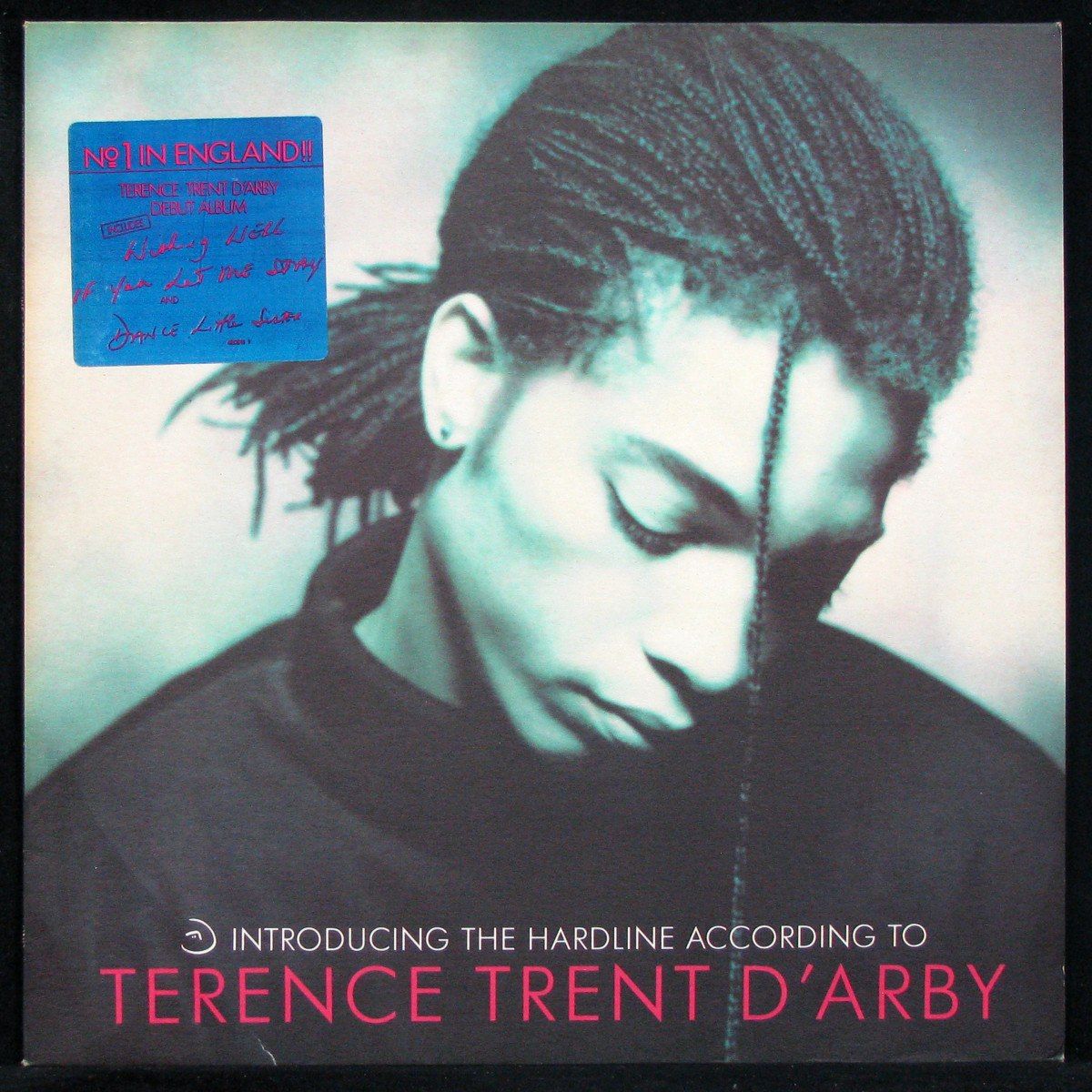 Terence trent d arby delicate