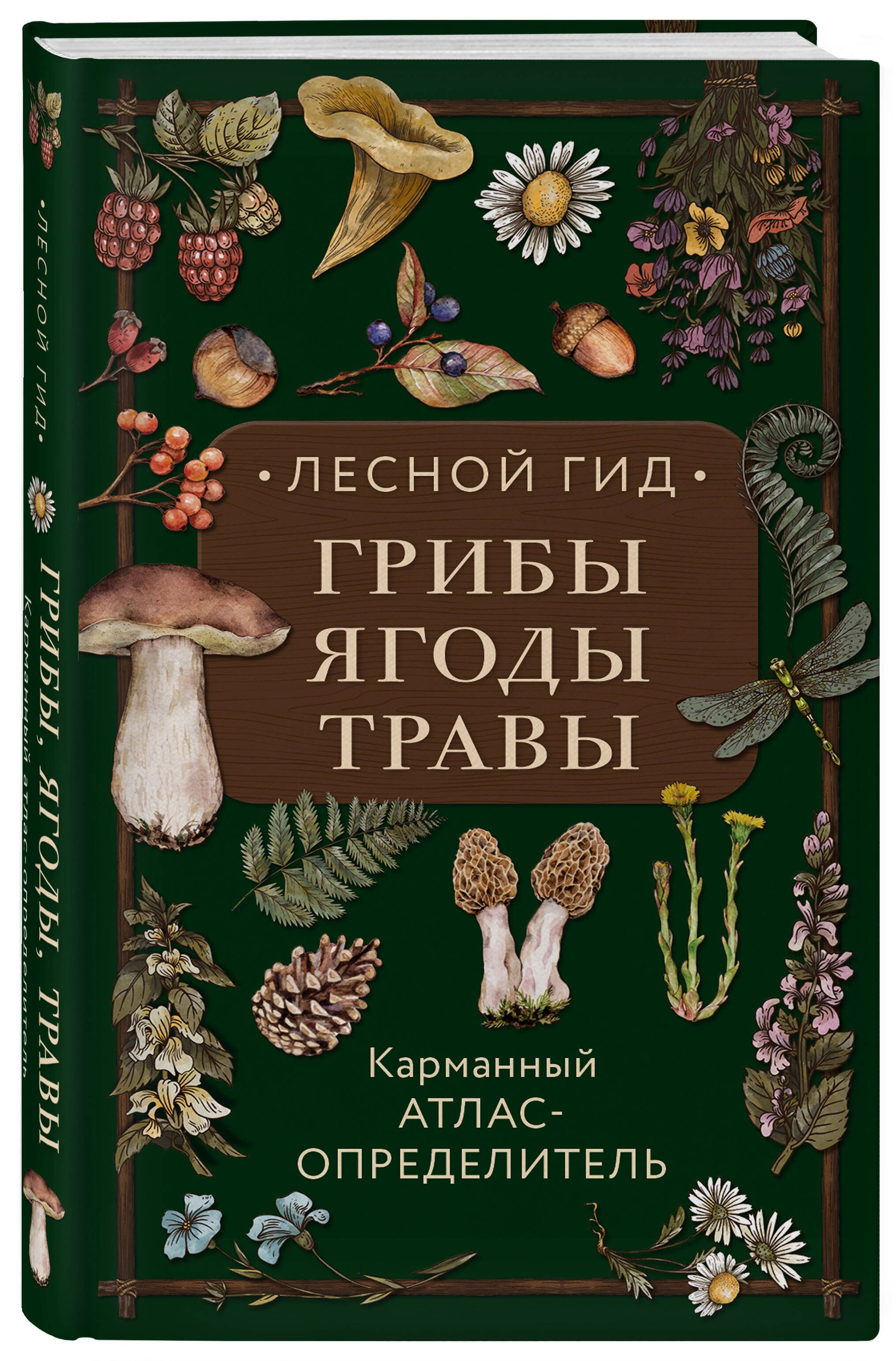 Леснойгид:грибы,ягоды,травы.Карманныйатлас-определитель|СеменоваЛюдмилаСеменовна