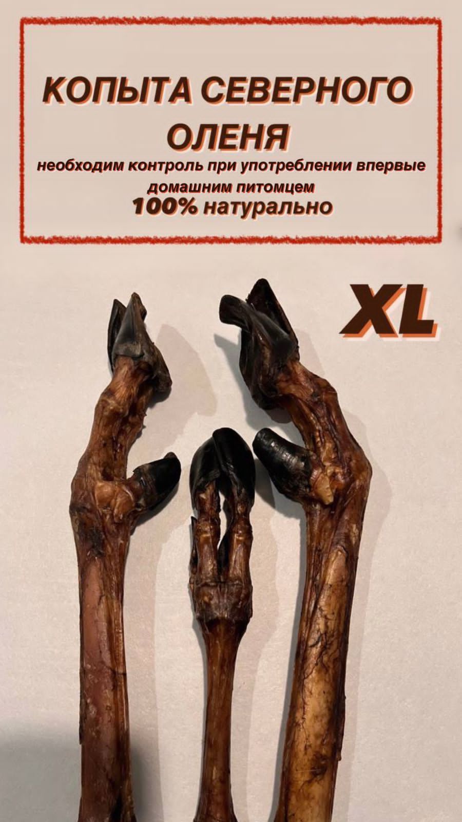 прах с копыт северного оленя. 5. прах с копыт северного оленя. прах с копыт северного оленя. прах с копыт северного оленя.