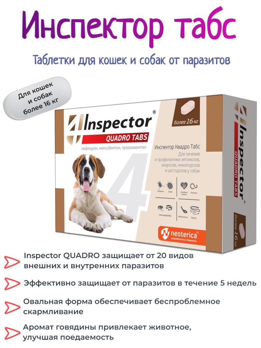 Inspector quadro tabs цены. Инспектор Квадро табс для собак от клещей. Инспектор Квадро табс для собак. Инспектор таблетки. Inspector Quadro Tabs для собак.
