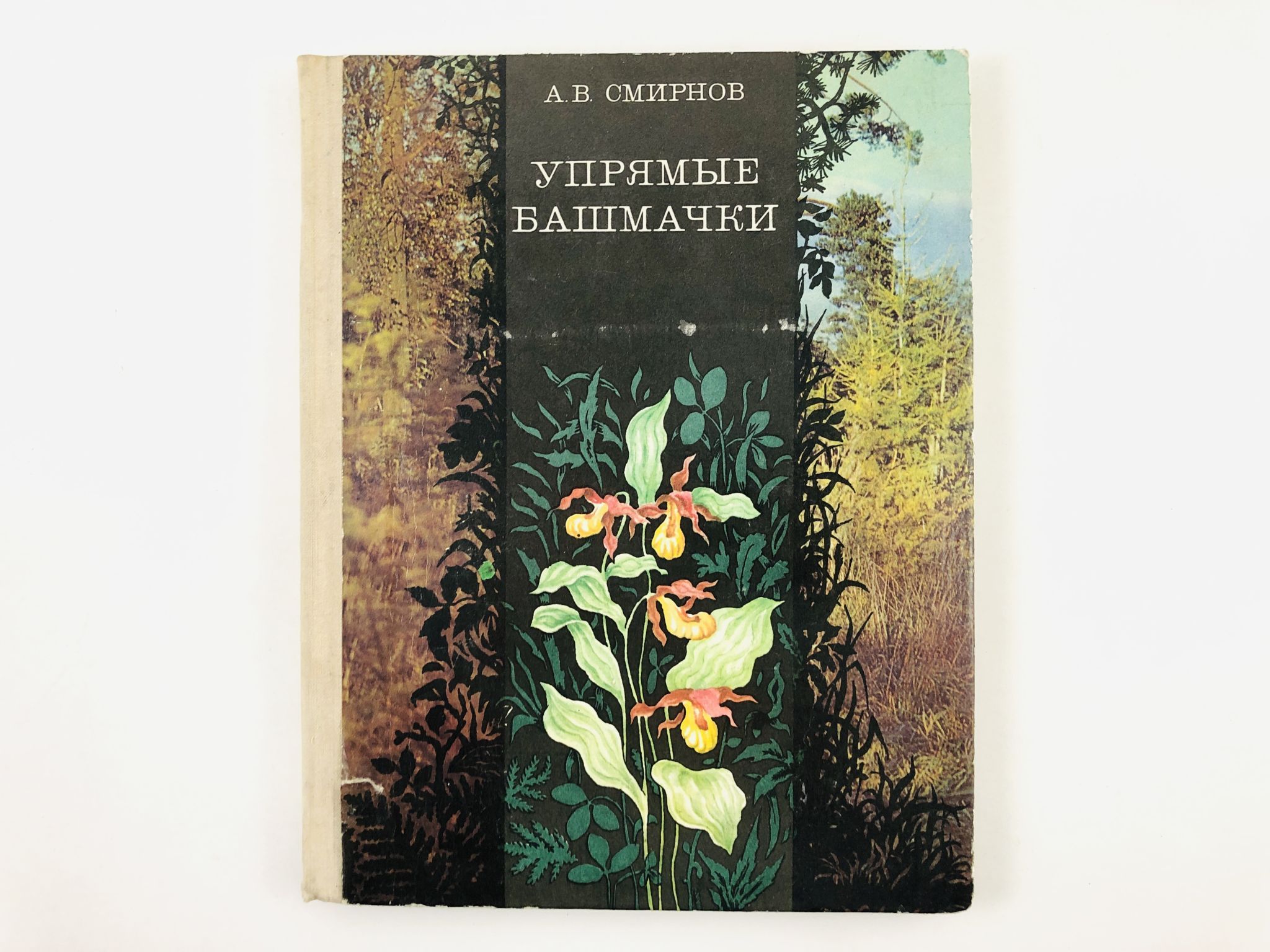 Книга башмачки. Книга башмачки