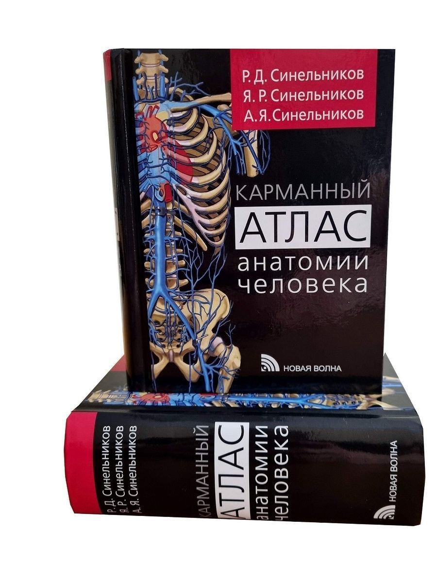 h2mKmN4DRngAC9AfyT09 632.541.383-09 (1) - Anatomia I