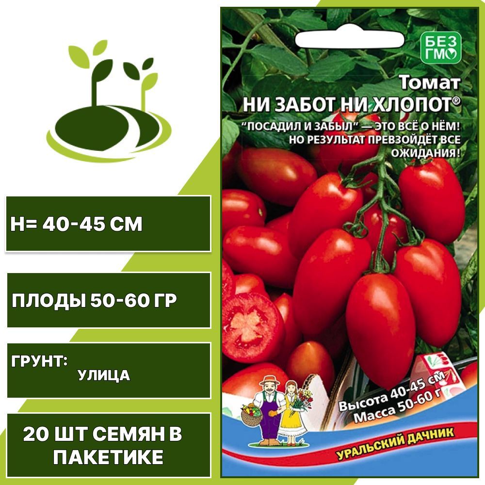 Томат ни забот ни хлопот отзывы фото