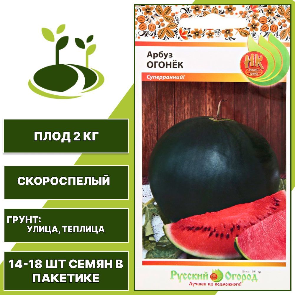 Огонек арбуз сибирские сортовые семена. Арбуз огонек фото. Сорт арбуза огонек описание. Арбуз огонек отзывы. Семена арбуз огонек.