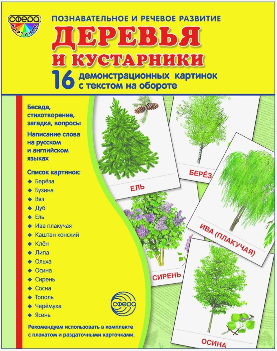 Познавательное и речевое развитие 16 демонстрационных картинок сфера