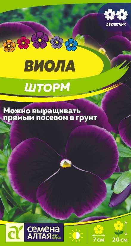 Семена Виолы Купить В Интернет Магазине