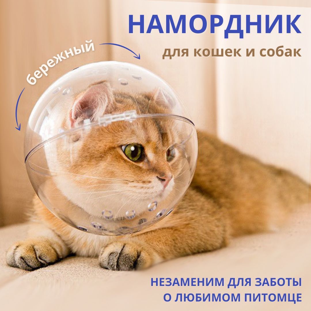 Намордник для кошки–нужная вещь или глумление над животным