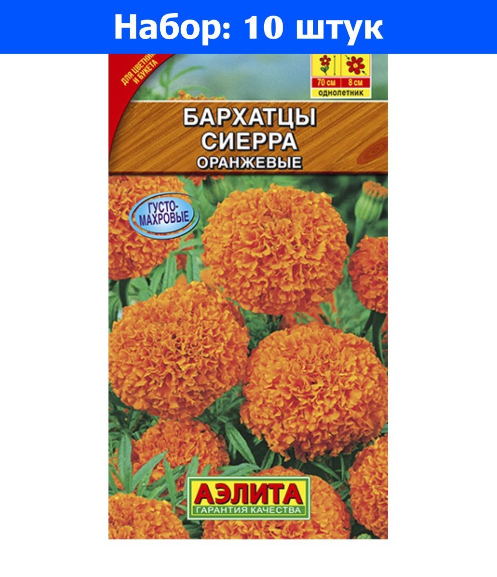 Бархатцы Синие Купить Семена