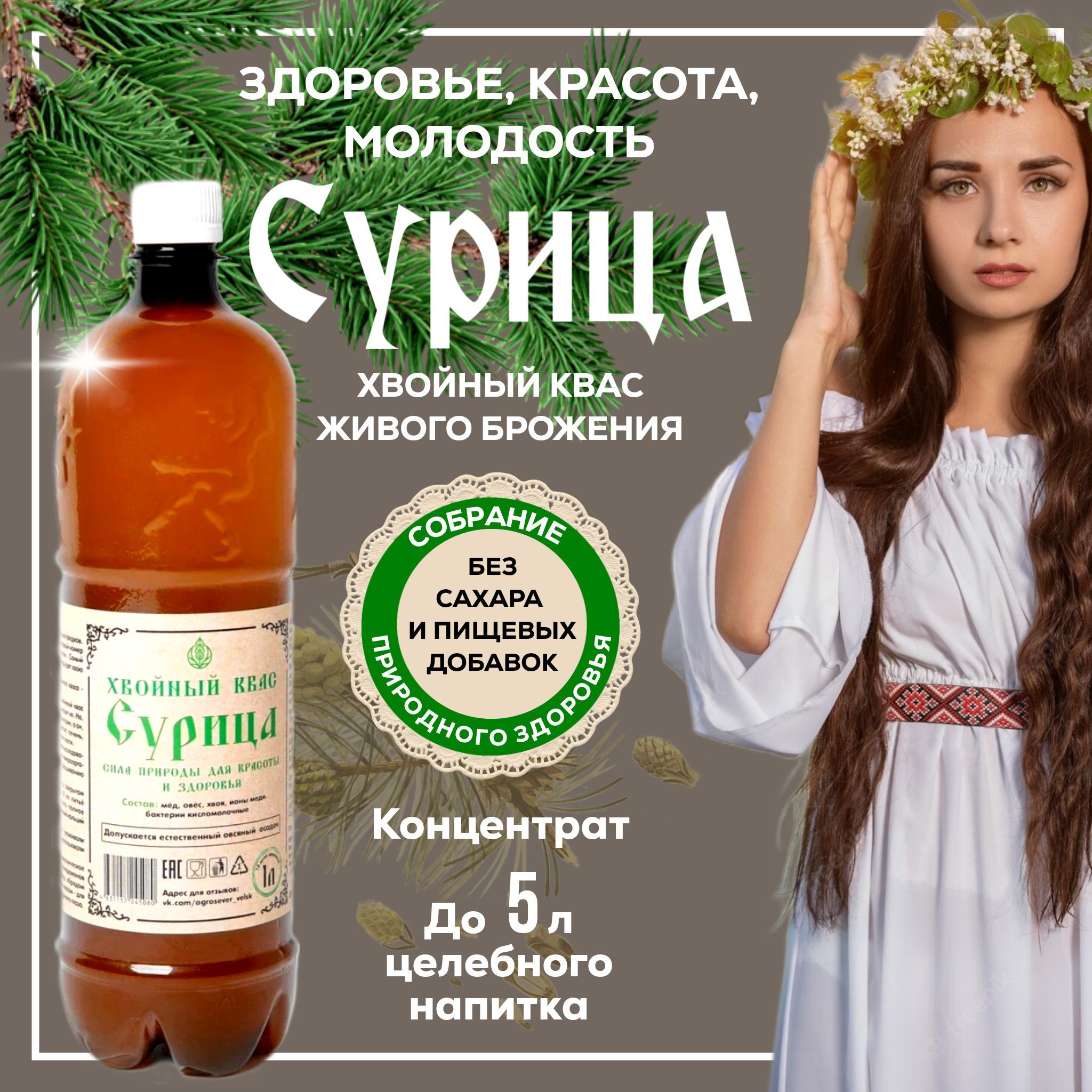 Квас Хвойный живого брожения Сурица (концентрат)