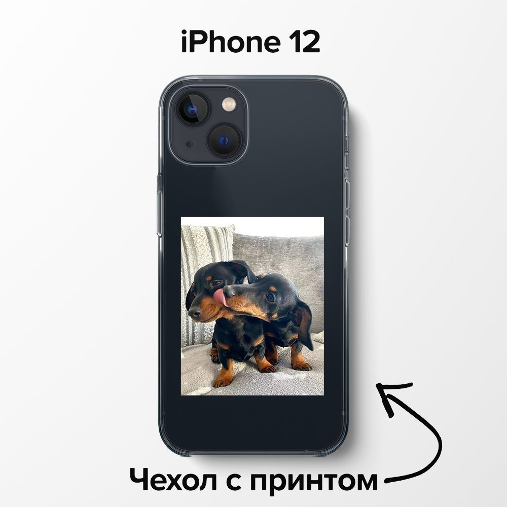 pronto / Чехол для iPhone 12 с собаками прикольными:) / 2 - купить с  доставкой по выгодным ценам в интернет-магазине OZON (1063771123)