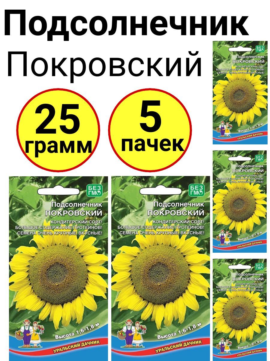 Подсолнух урал. Семечки Покровские. Уральские семечки. Подсолнечник Уральские Самоцветы на клумбе.