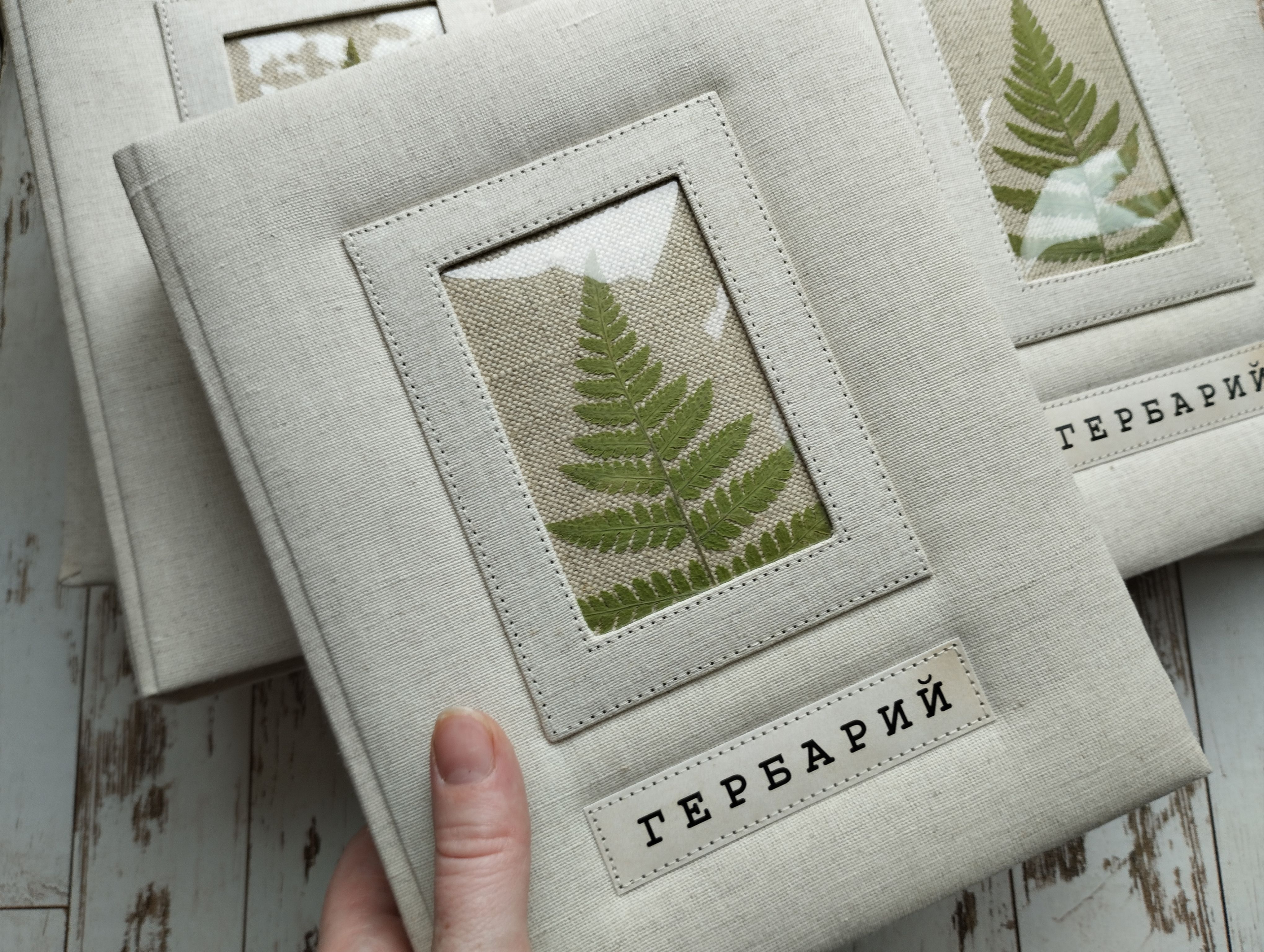 Альбом для гербария