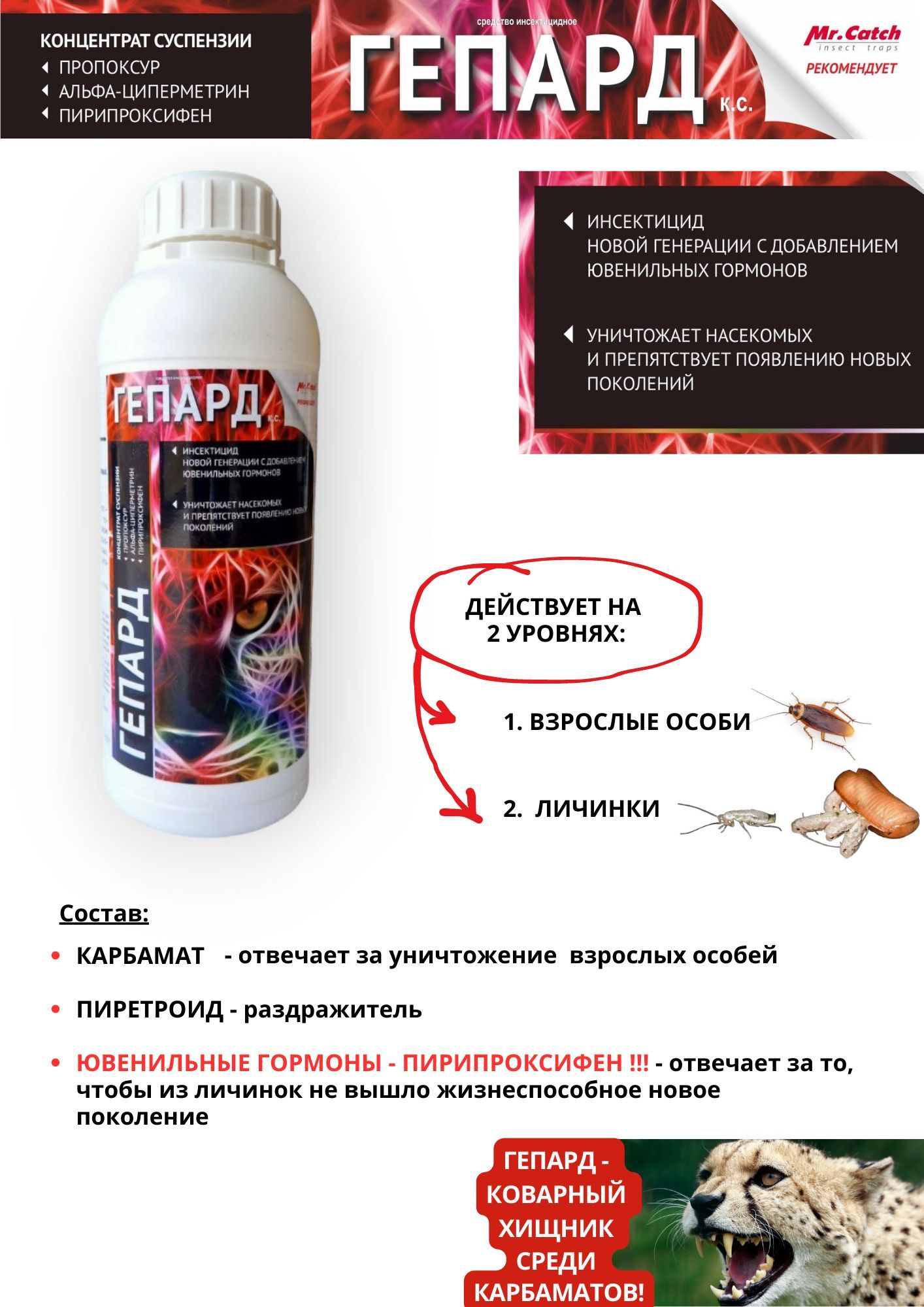 Мышьяк Отрава для Крыс купить на OZON по низкой цене