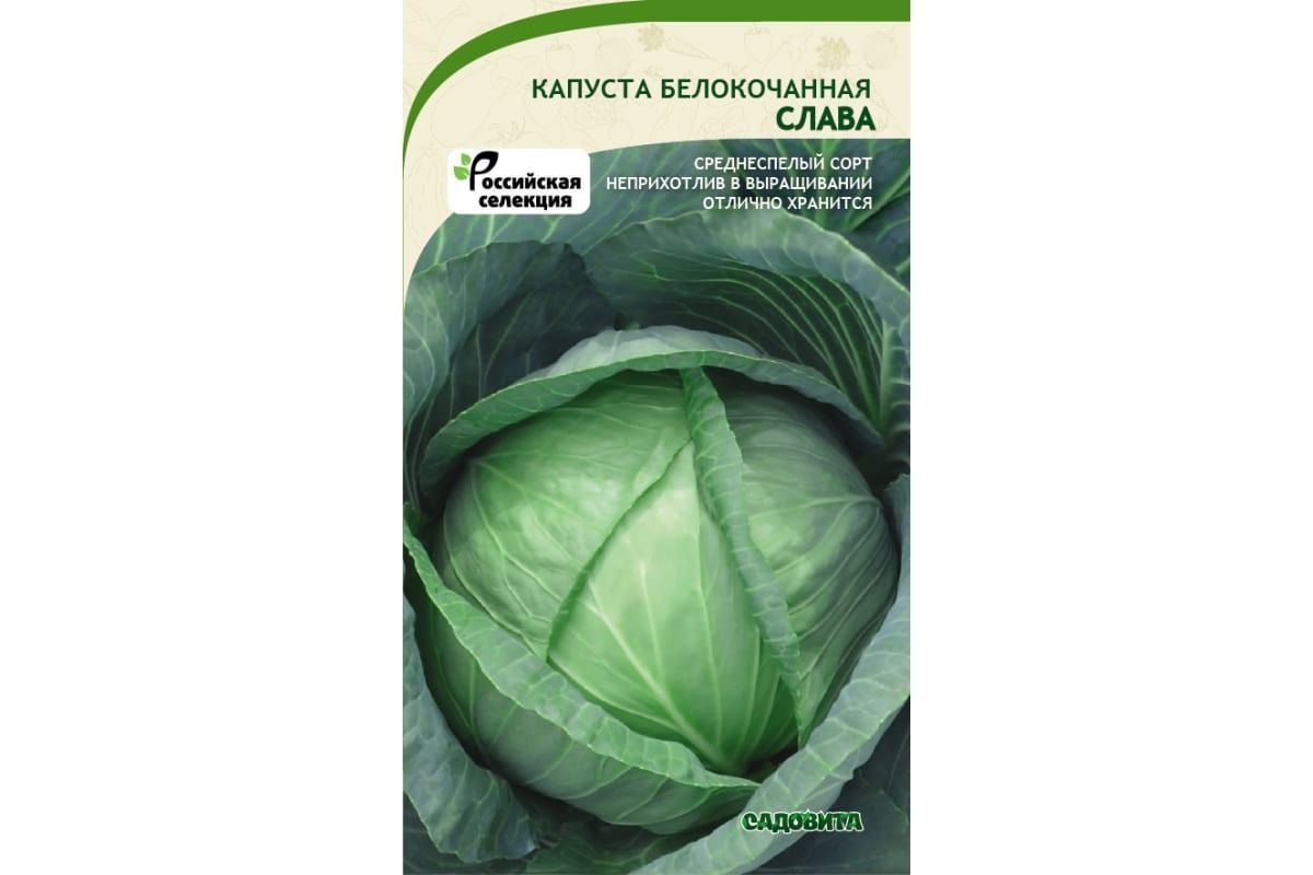 Капуста Русский огород Капуста белокачанная Слава 1305, 1.5г - купить по выгодны - Товар на картинке можно купить.