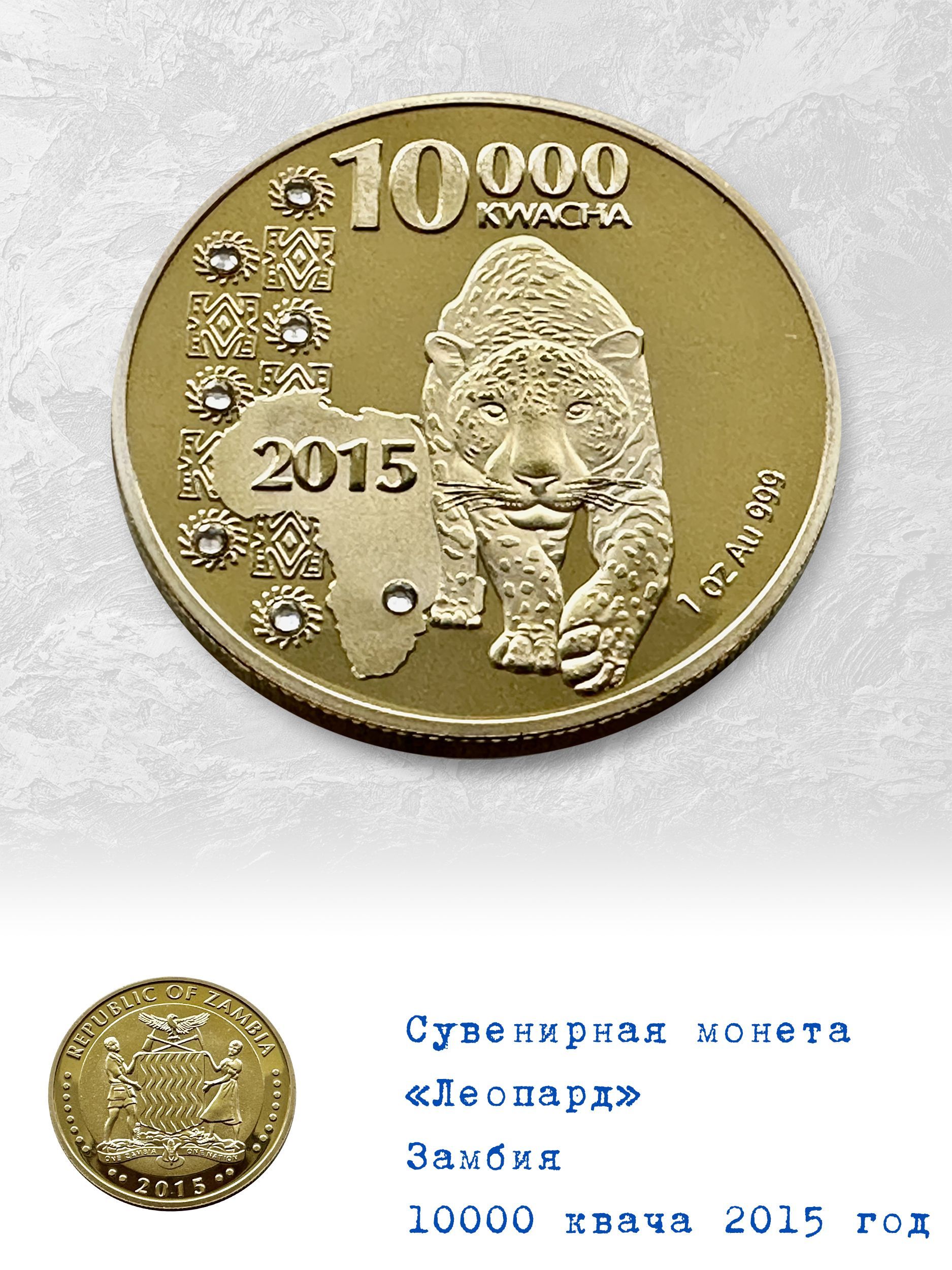 Монета леопард. Монета леопард 2011 год золото. Монета ? Леопард 100 руб. Флорин монета с леопардами.