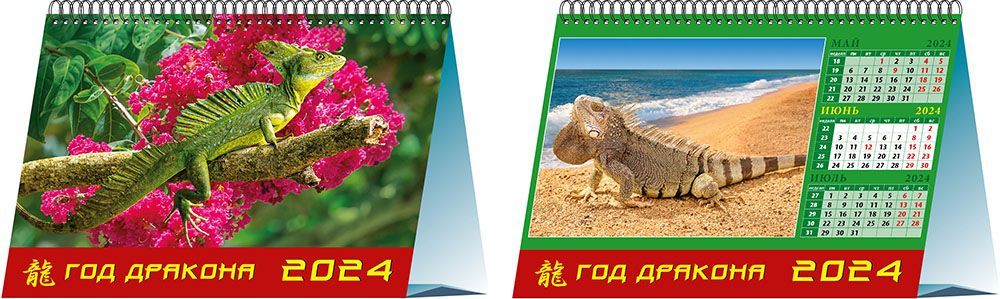 календарь домик 2024 год дракона