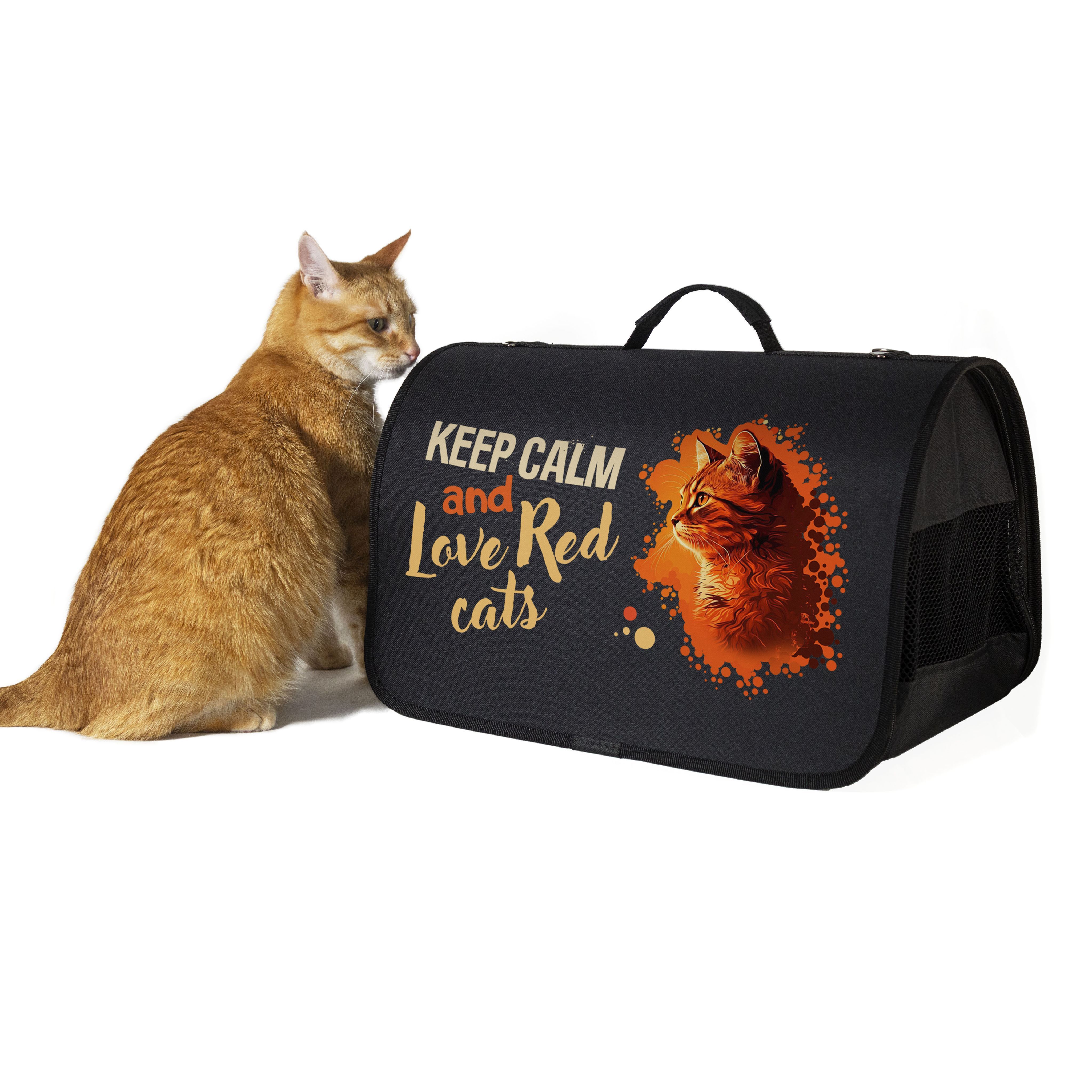 Red cat 7. Red cat store. red cat i remember.