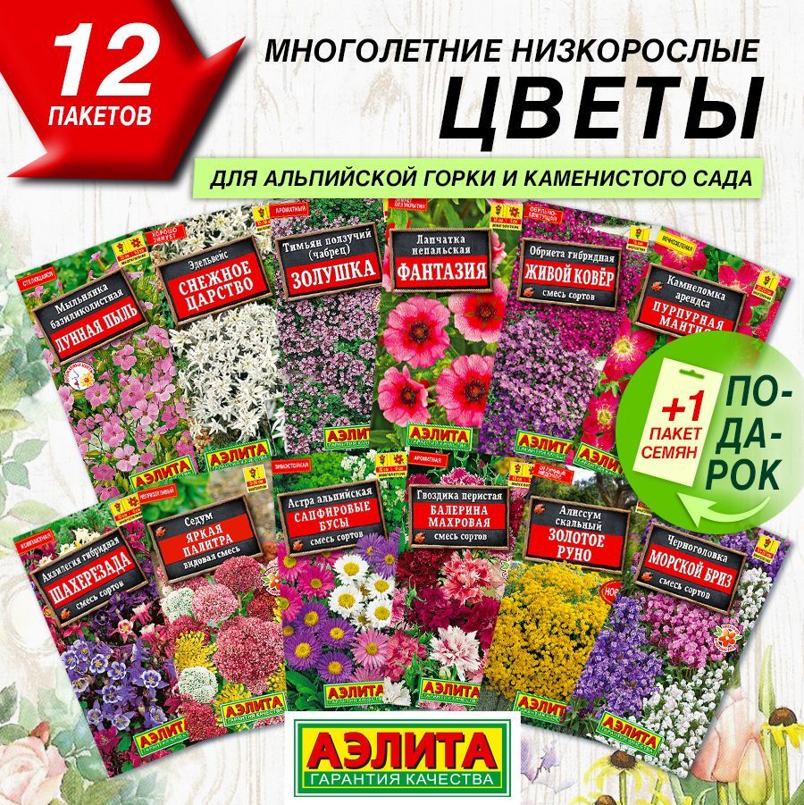 Купить Семена Низкорослых Цветов