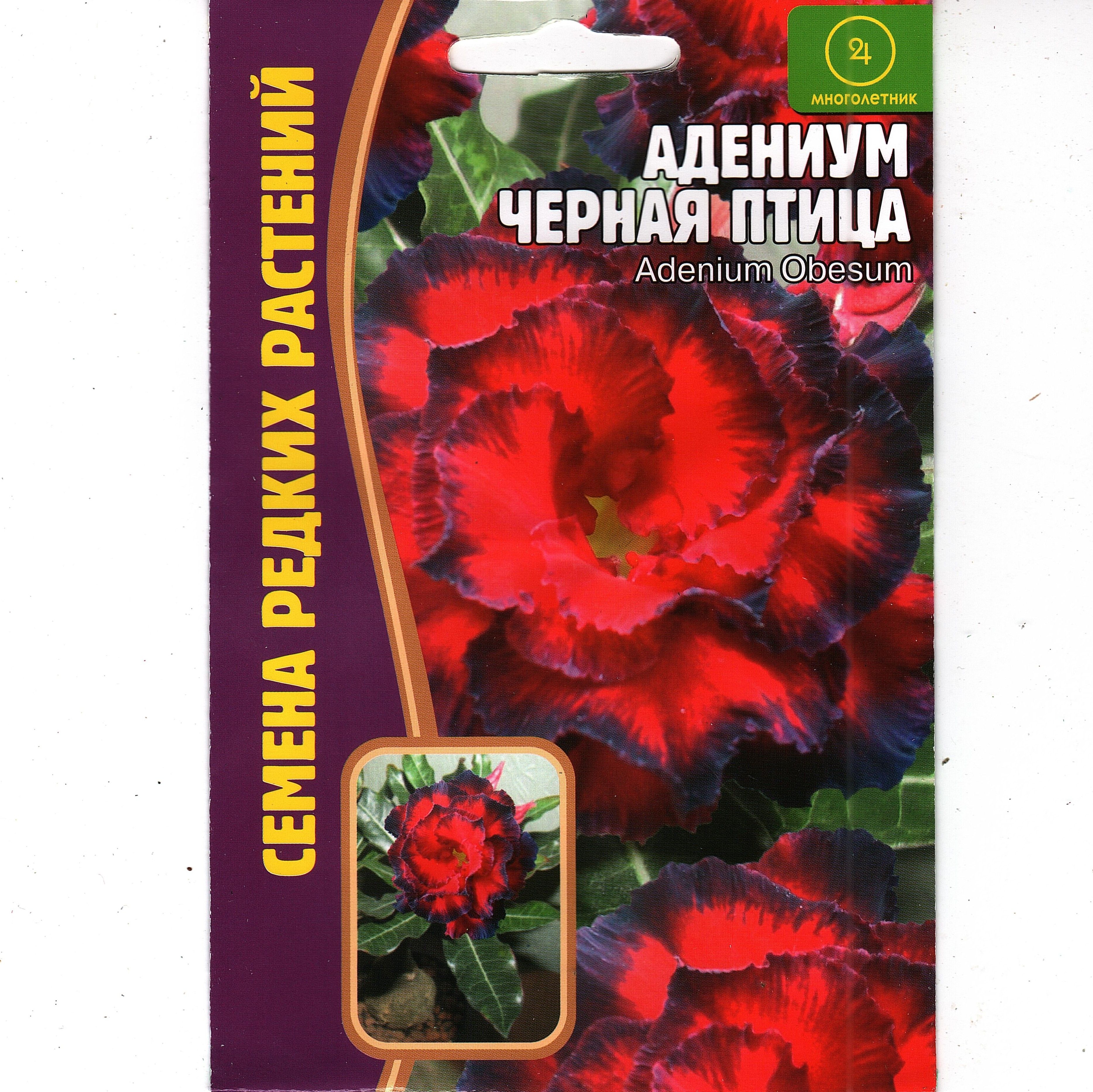 Адениум Купить В Красноярске Семена Для Сибири