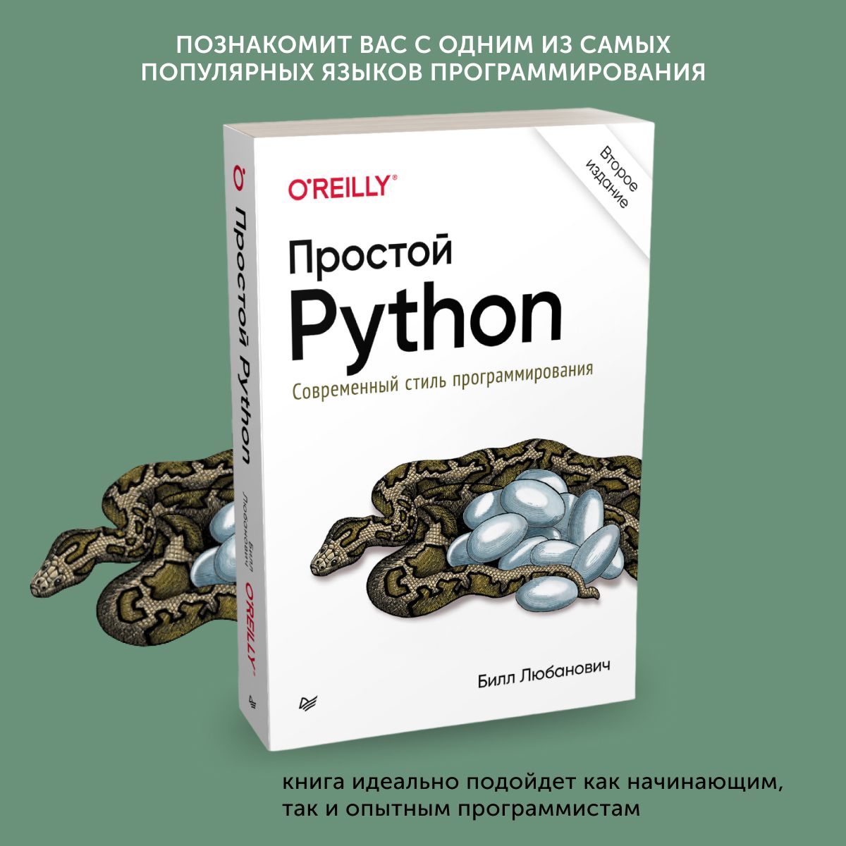 Простой Python Книга Купить