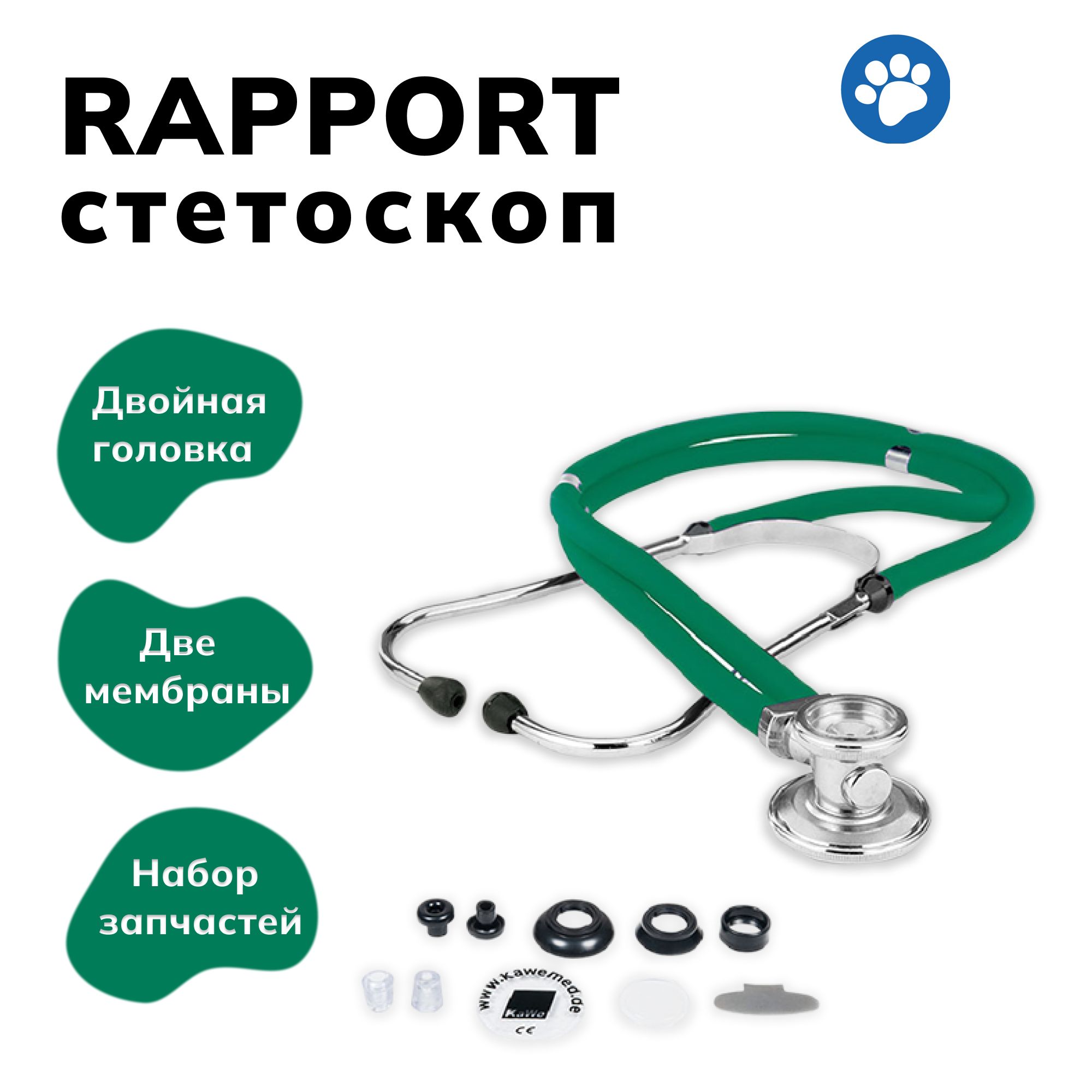 Rapport (раппорт) - универсальный стетоскоп с комплектом запасных частей, зелёный, KaWe