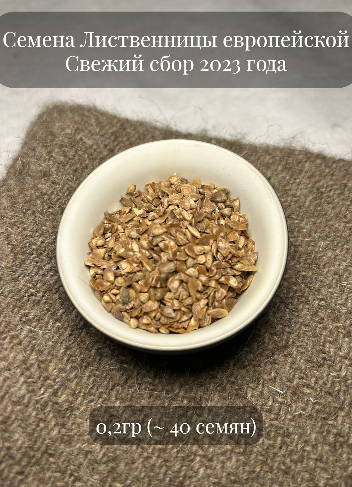 Купить Семена Лиственницы Сибирской