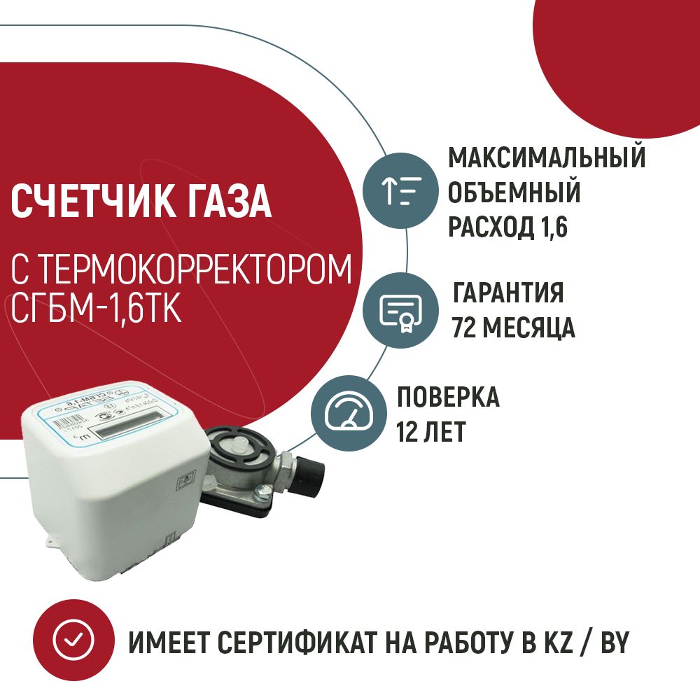 Бетар Счетчик газа СГБМ-1,6ТК Струйный, G1.6 - купить с доставкой по  выгодным ценам в интернет-магазине OZON (418938991)