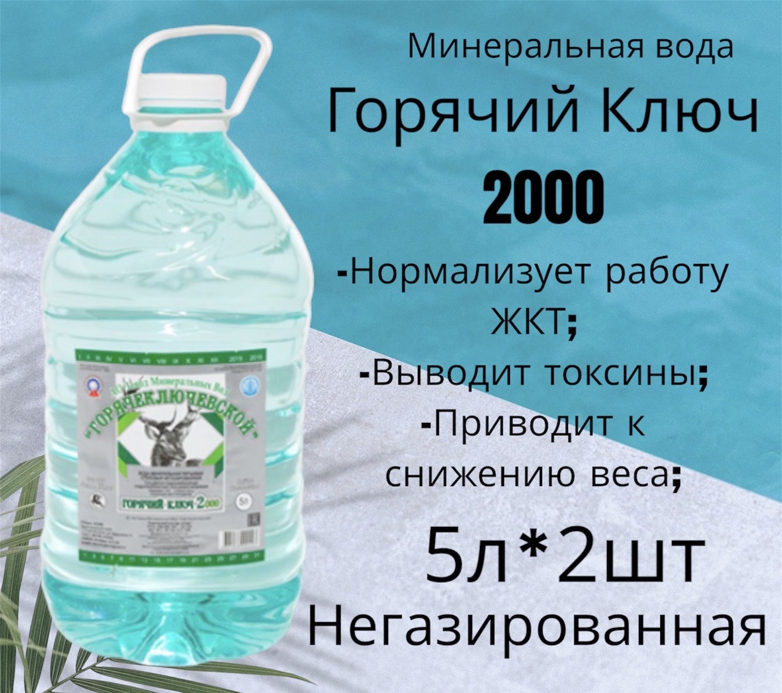 Вода Горячий Ключ 2000. Объем 5л*2шт. Вода минеральная питьевая  негазированная целебная лечебная, выводит токсины, нормализует работу жкт