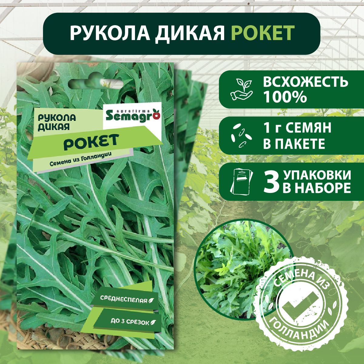 Семена Рукола дикая РОКЕТ SEMINIS, 3 пакета, (1 г семян в одном пакете)