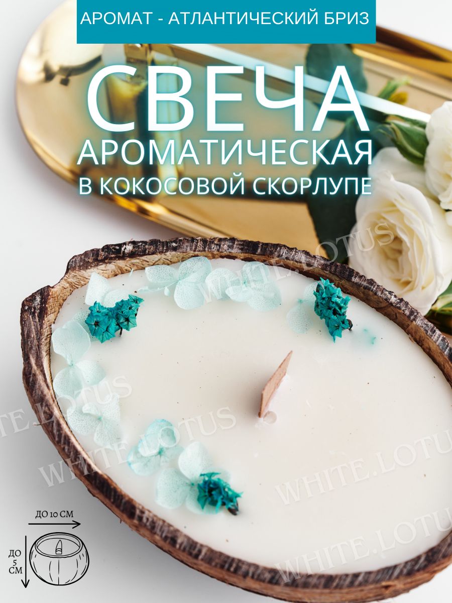 WHITE.LOTUS Свеча "морской бриз", 5 см х 8 см