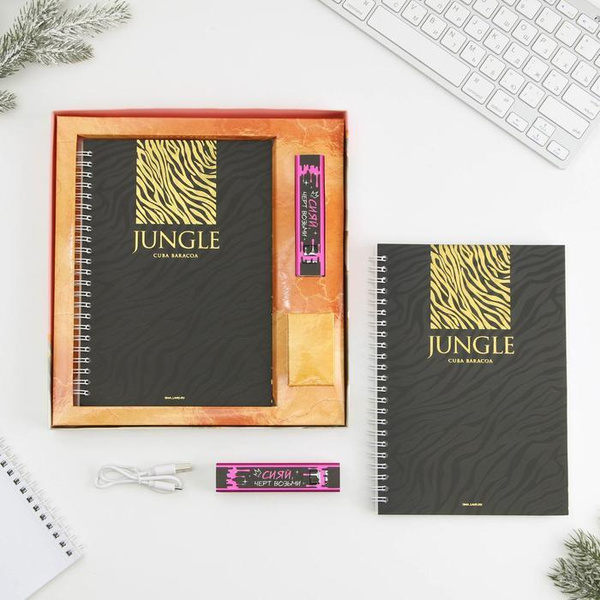 Набор ежедневник и павер банк, мод.РВ-04, "Сияй", 22,7 х 24,5 см ...