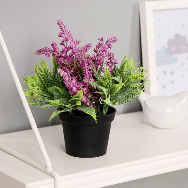 Купить Бонсай в горшке "Лаванда с папоротником" 6,5х12 см по выгодной ...