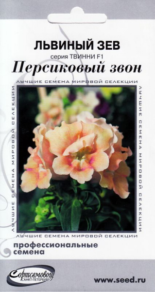Многолетники для альпийской горки, Антирринумы Дом семян Львиный зев ...