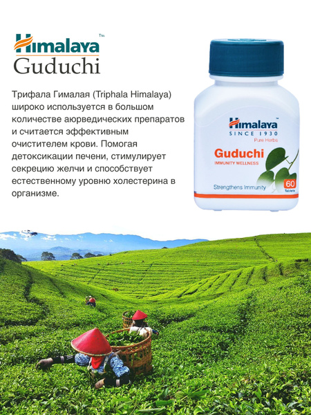 Гудучи (Guduchi) Himalaya, для поддержания иммунной системы/борьба с ...