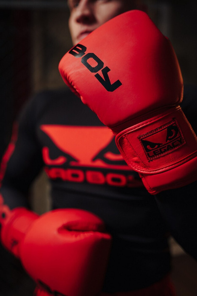 Боксерские перчатки Bad Boy Legacy Prime Boxing Gloves, 16 - купить по ...