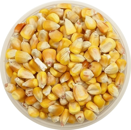 Кукуруза, 1 кг купить на OZON по низкой цене (377585921)