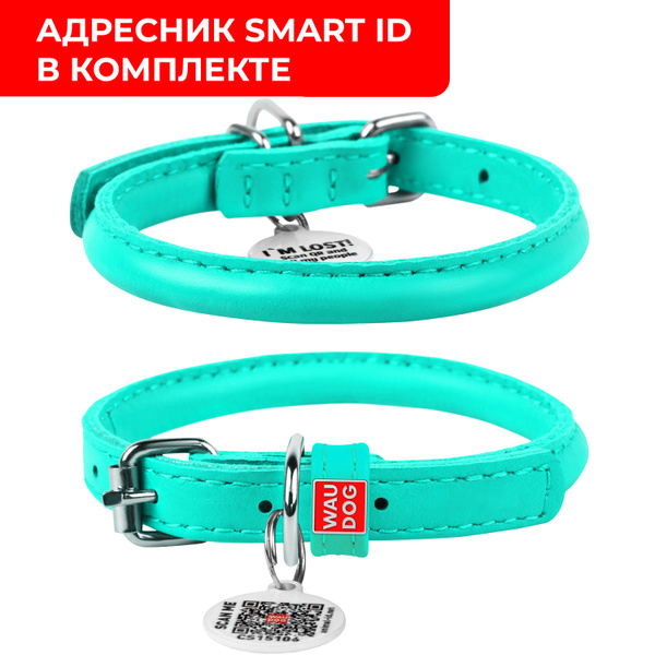Круглый кожаный ошейник для собак WAUDOG ГЛАМУР, диаметр 8 мм, обхват ...