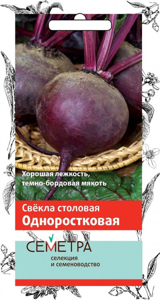 Свекла Славянка Описание Сорта Фото