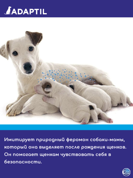Адаптил ( Ceva ADAPTIL ) - Модулятор поведения для собак ( диффузор ...