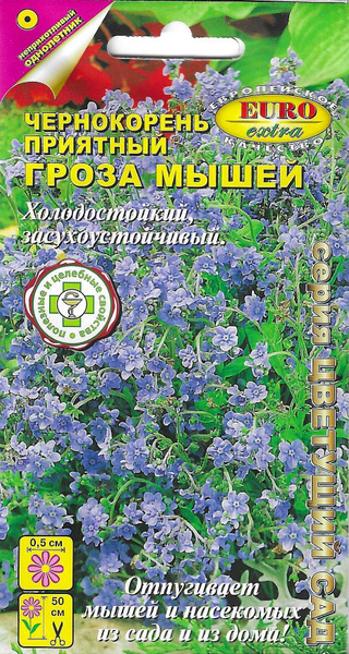 Аэлита Чернокорень приятный Гроза мышей - купить по выгодным ценам в ...