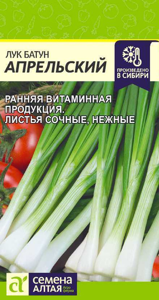 Лук Семена Алтая Лук батун Апрельский - купить по выгодным ценам в ...
