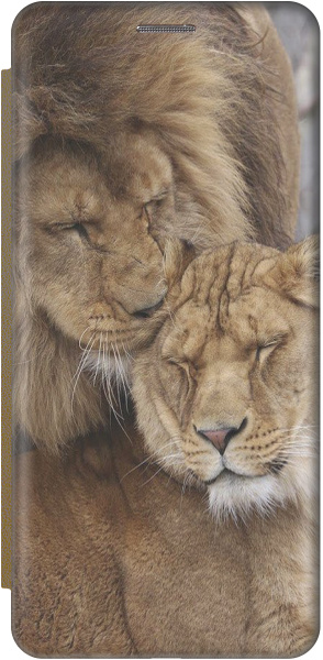 Чехол-книжка на Samsung Galaxy A02s / Самсунг А02с c принтом "Милые ...