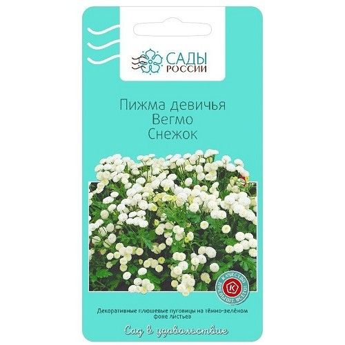 Пижма Девичья Купить Семена