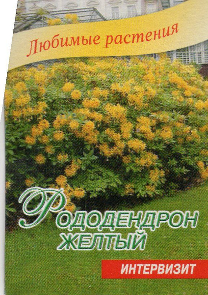 Вопросы и ответы о Семена – OZON (762930113)